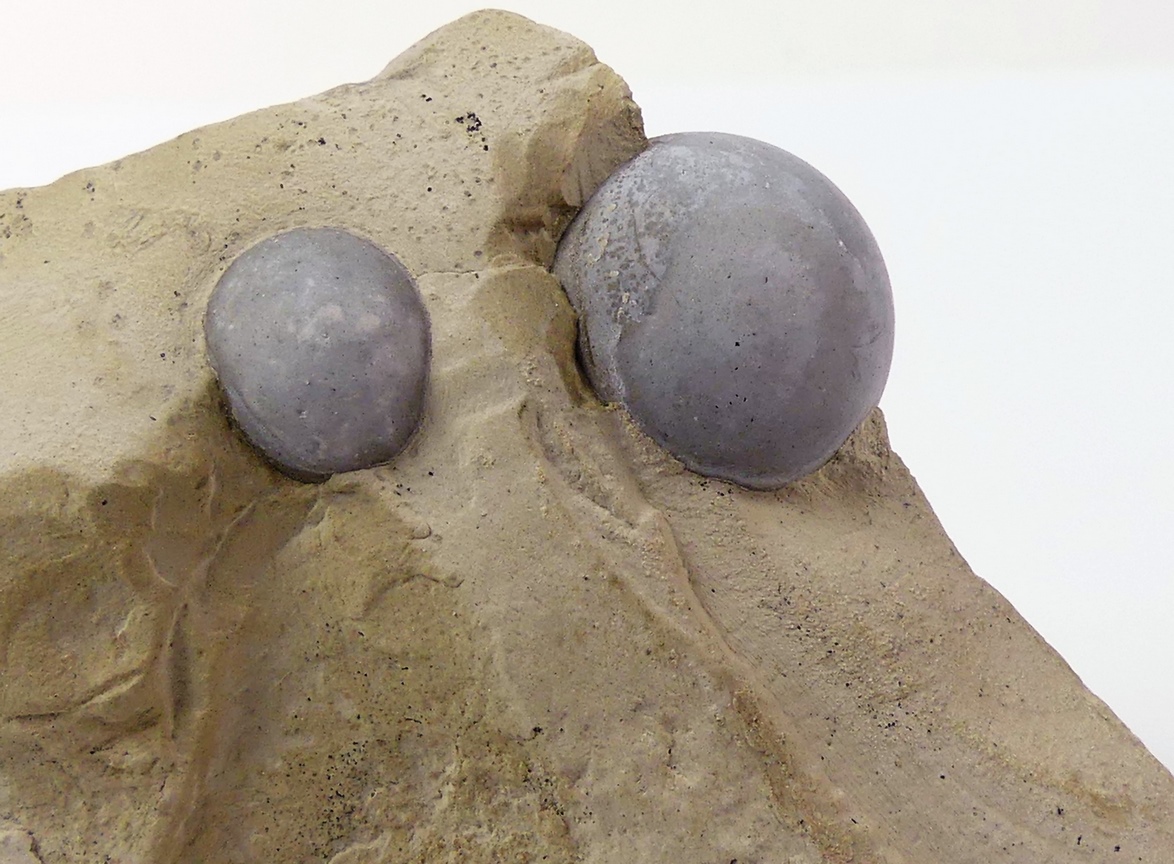 Opal Var Menilite