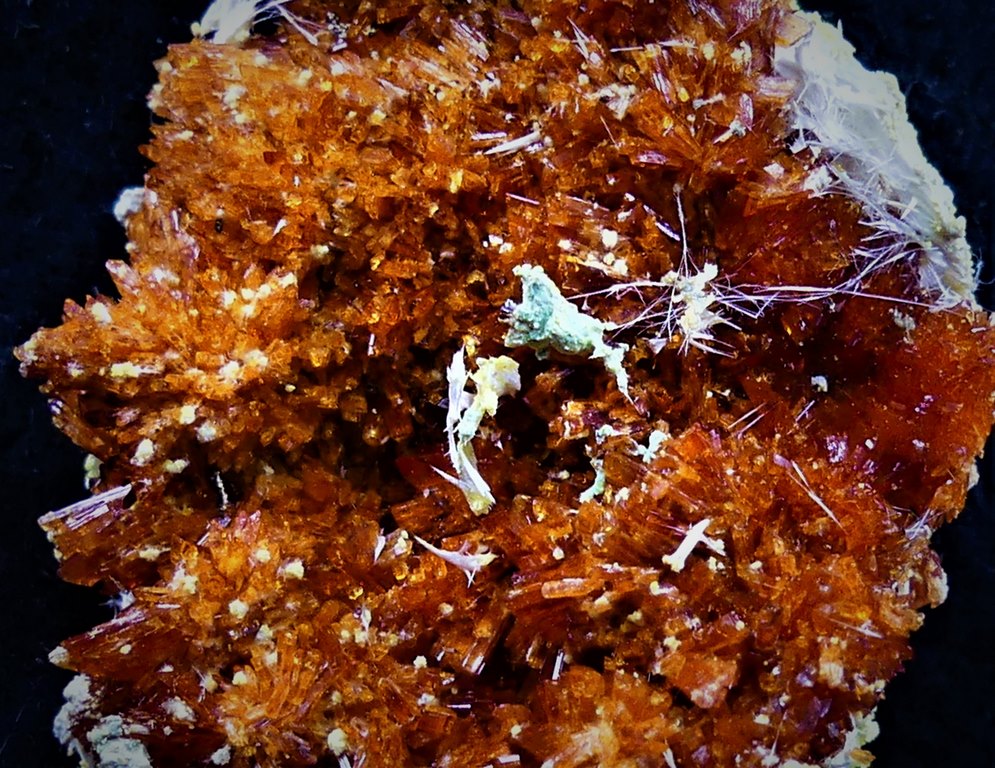Botryogen & Halotrichite