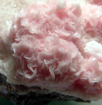 Rhodochrosite & Ferberite