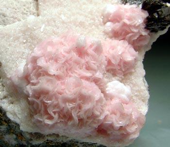Rhodochrosite & Ferberite