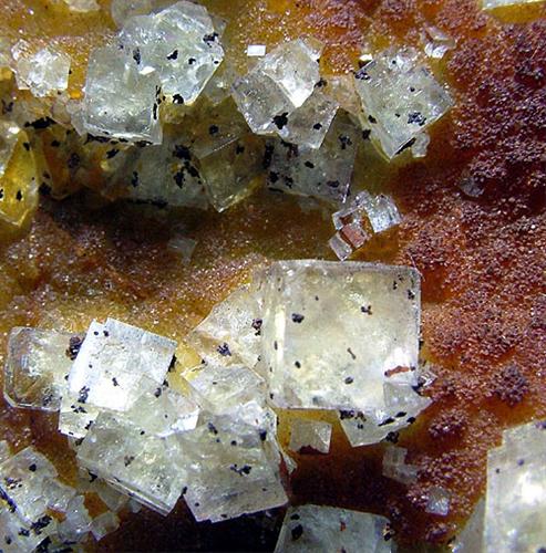 Fluorite & Quartz