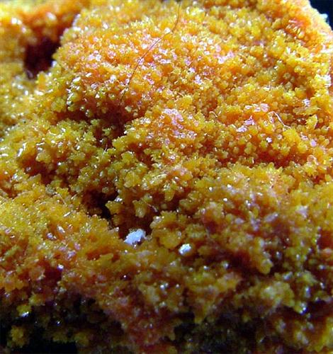 Pyromorphite