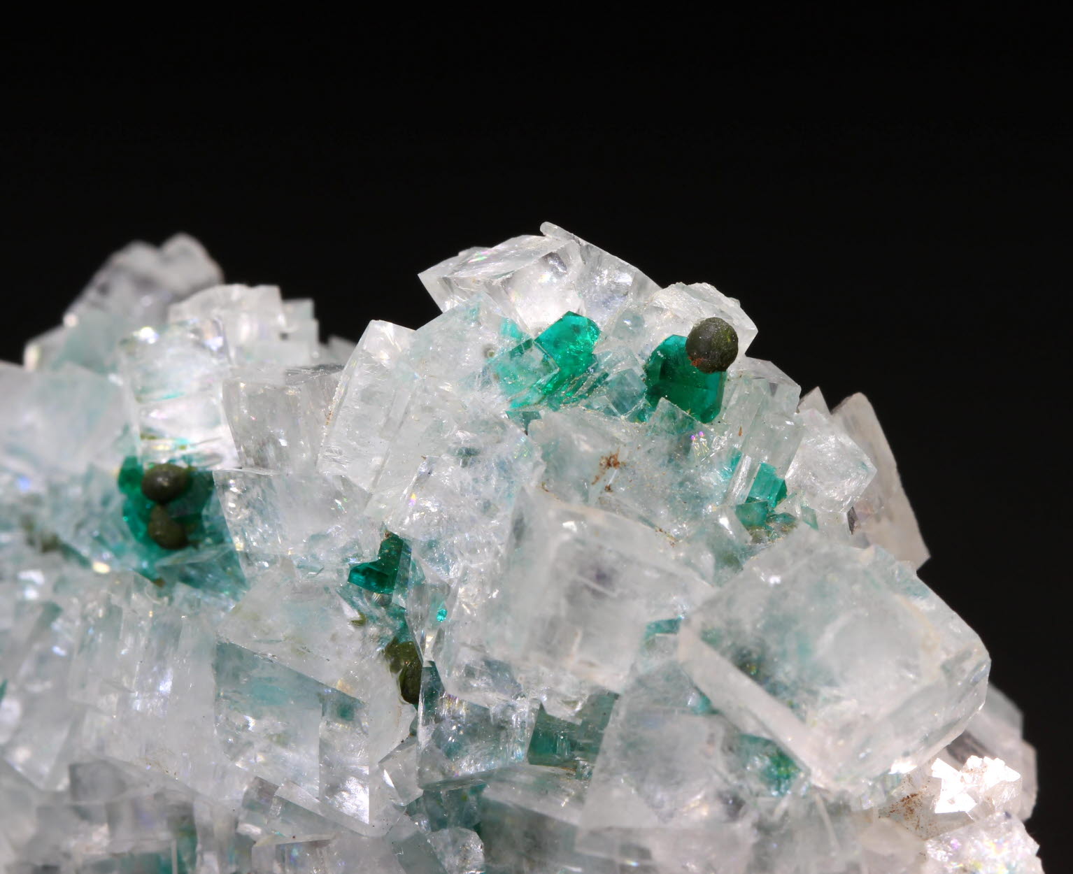 Calcite With Dioptase & Mottramite