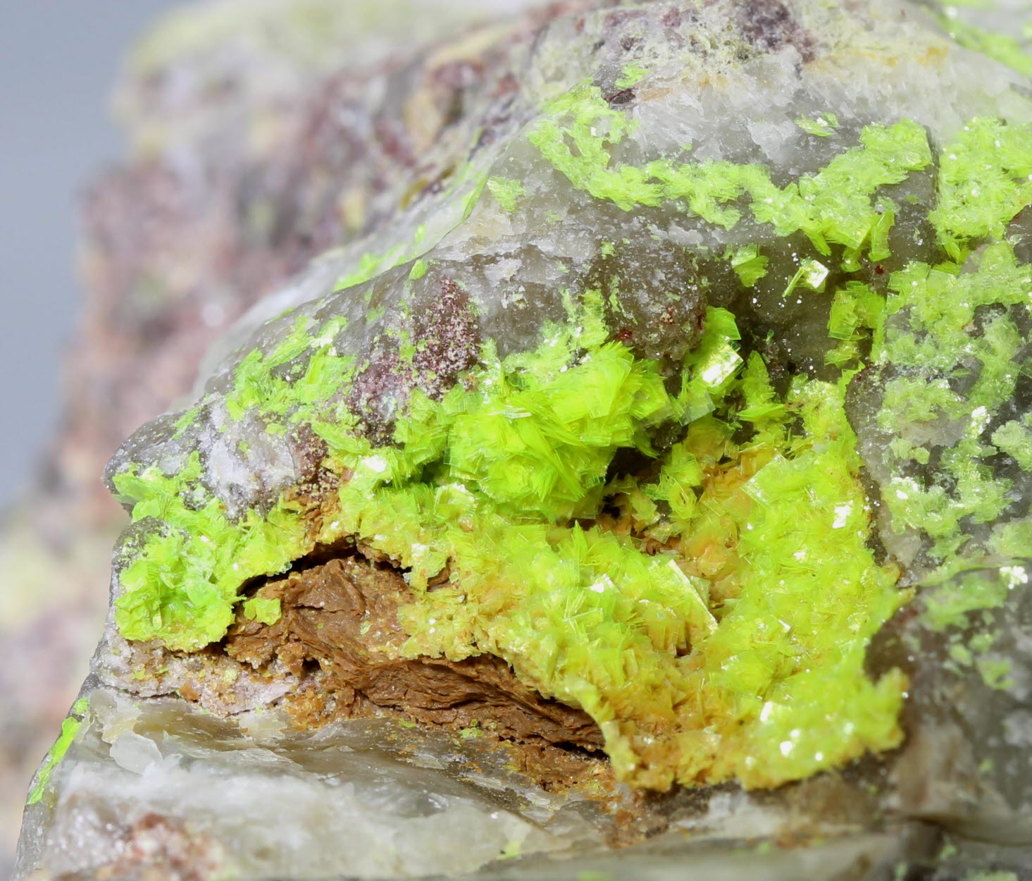 Uranocircite