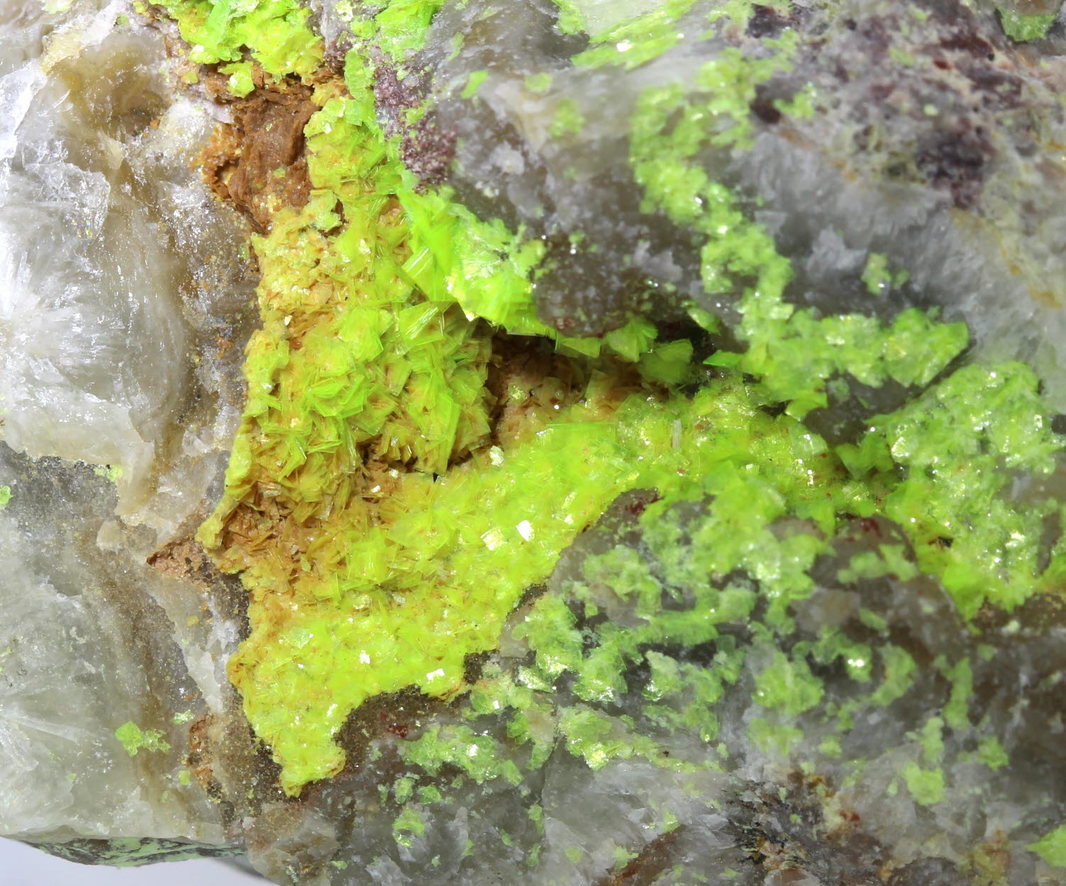 Uranocircite