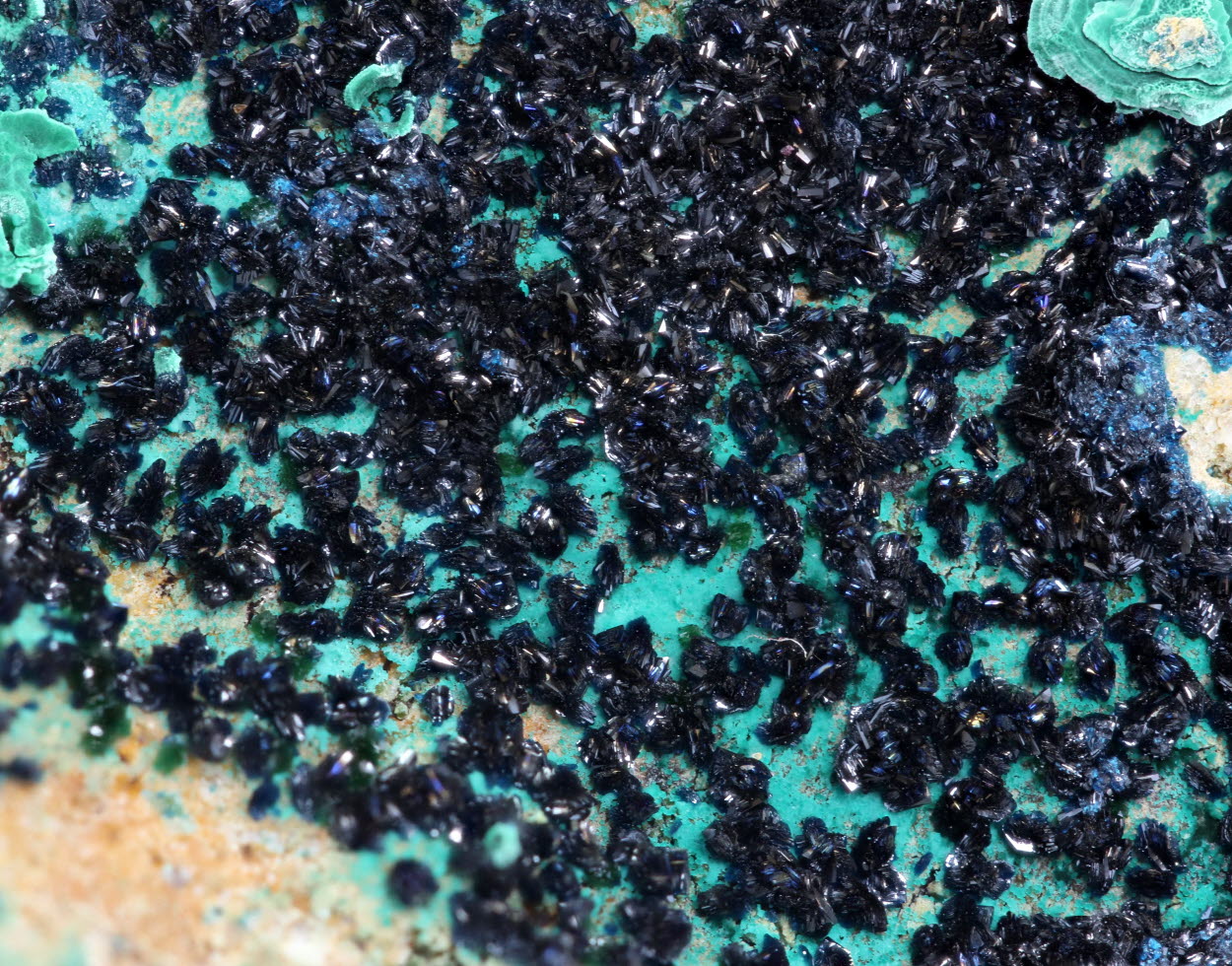 Cornetite On Malachite