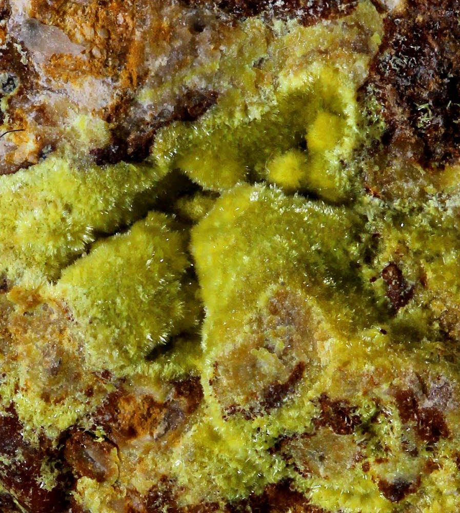 Parsonsite