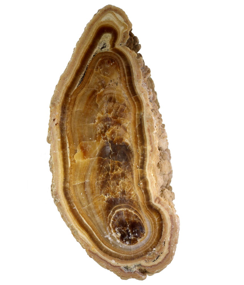 Baryte Var Oakstone
