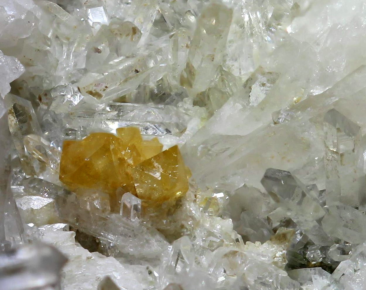 Scheelite & Quartz