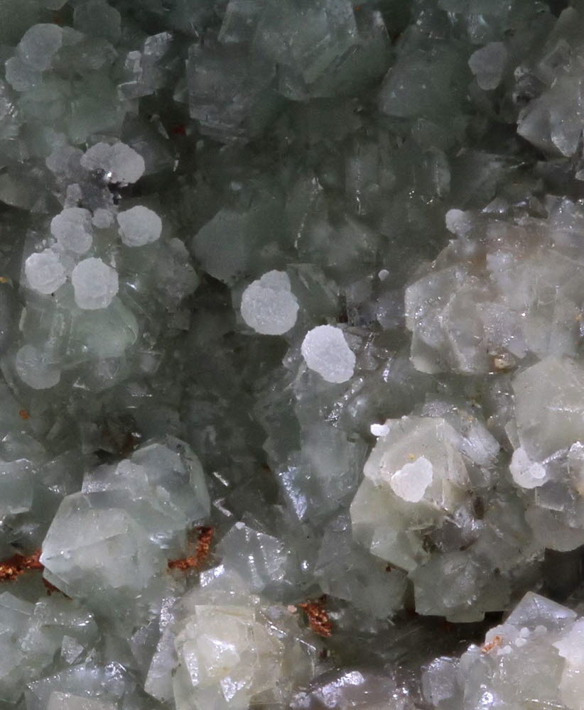 Cuprian Adamite