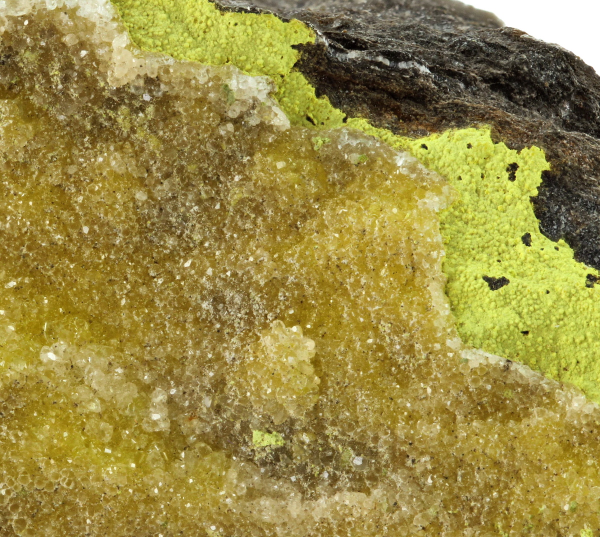 Tyuyamunite With Calcite