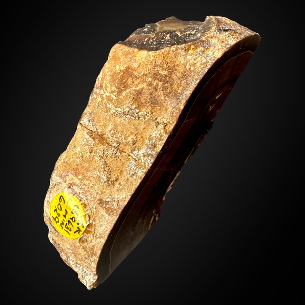 Baryte Var Oakstone
