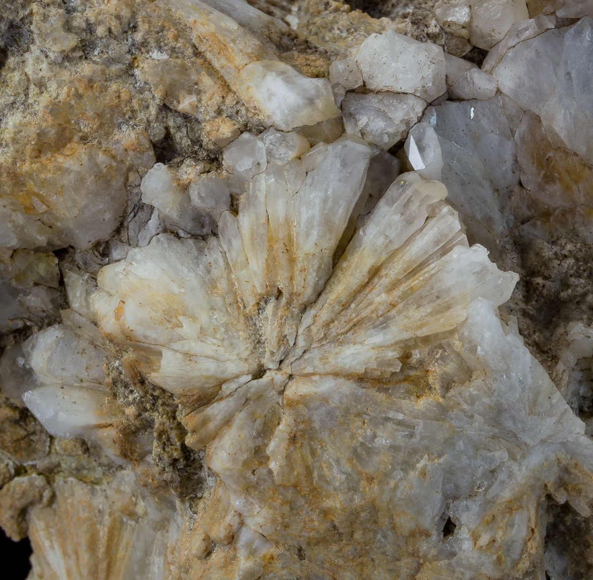 Star Quartz