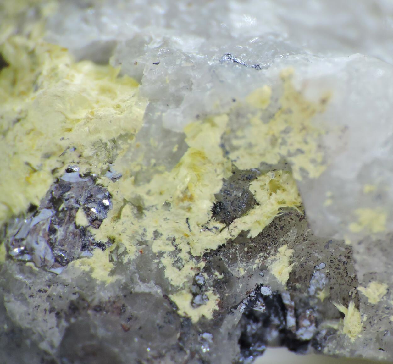Ferrimolybdite