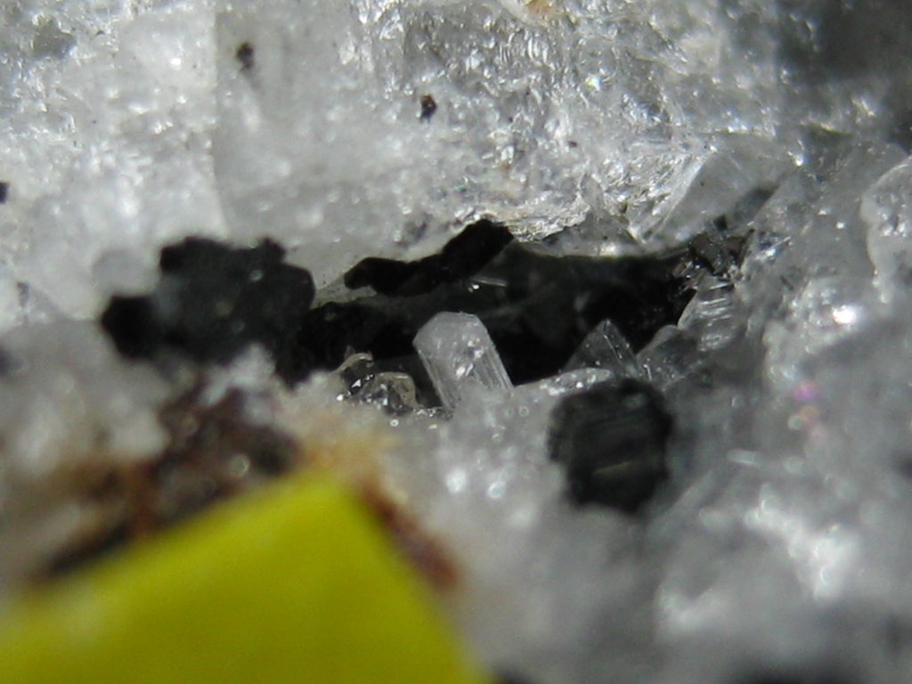 Marialite