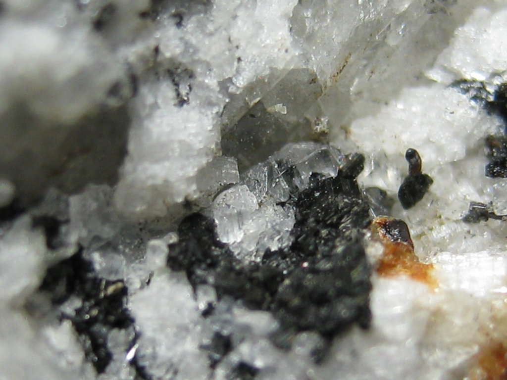 Marialite