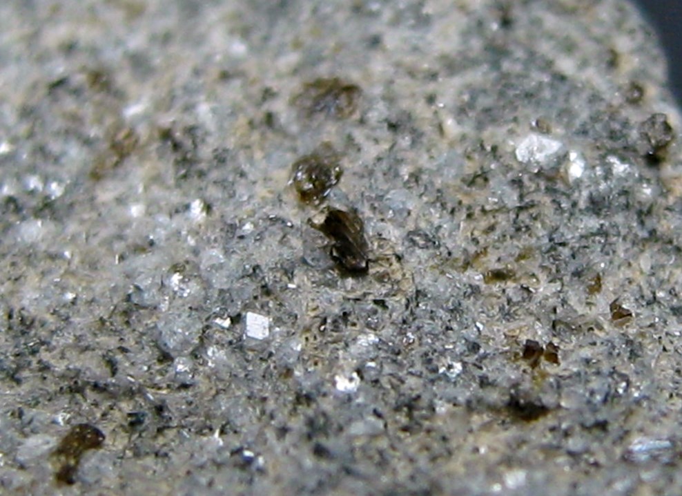 Fayalite