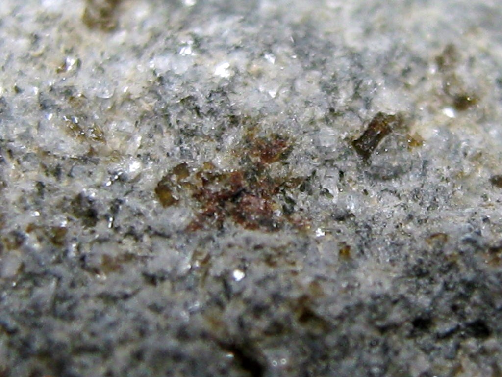Fayalite