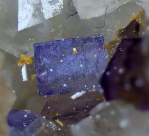 Fluorite & Quartz