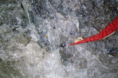 Weibullite