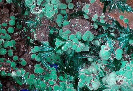 Brochantite Linarite & Malachite