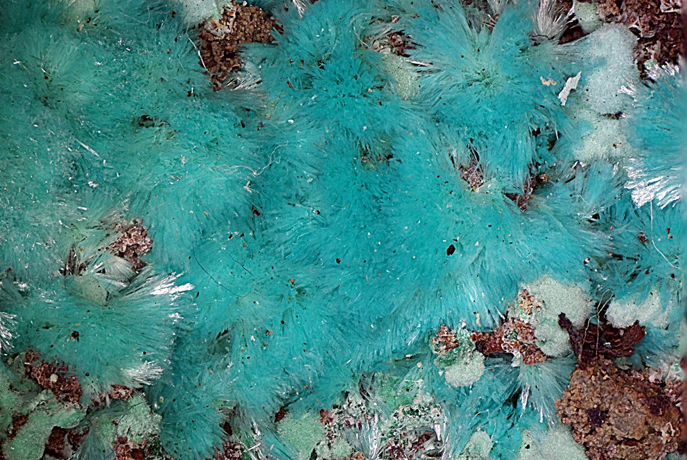 Aurichalcite & Rosasite