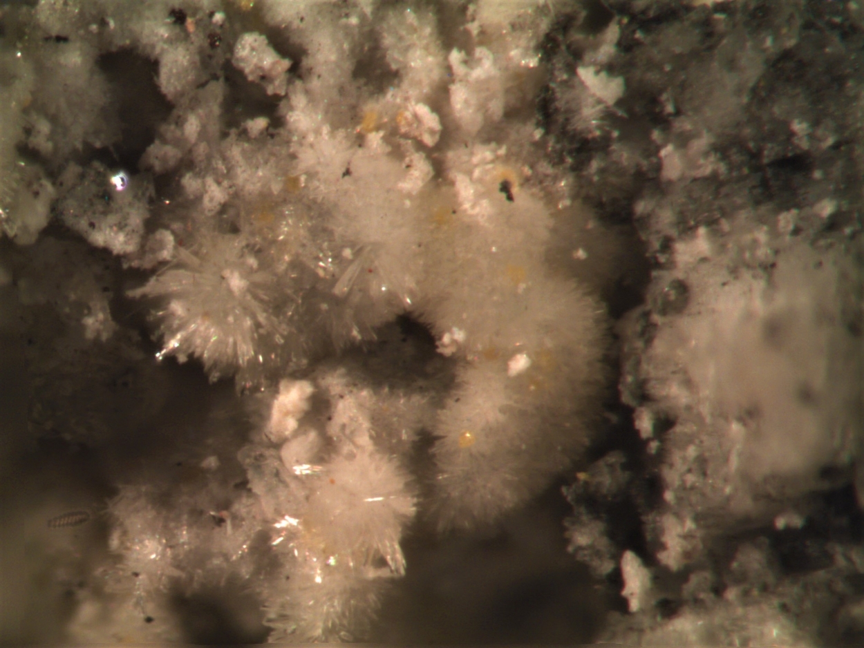 Adranosite-(Fe) & Adranosite-(Al) & Sassolite