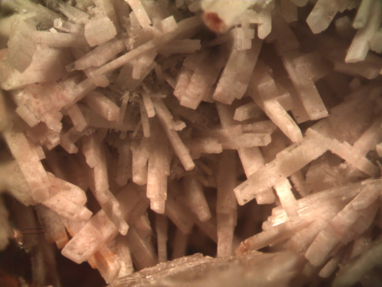 Johannsenite