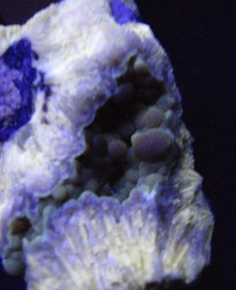 Calcite & Aragonite