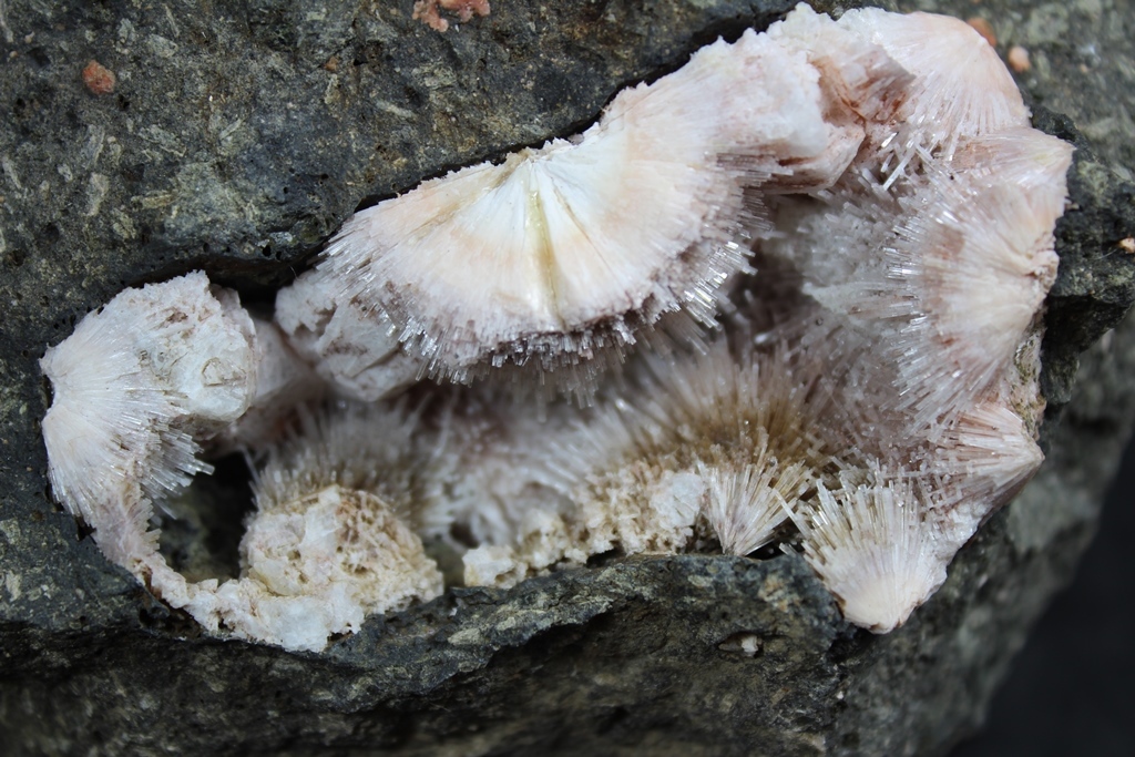 Natrolite