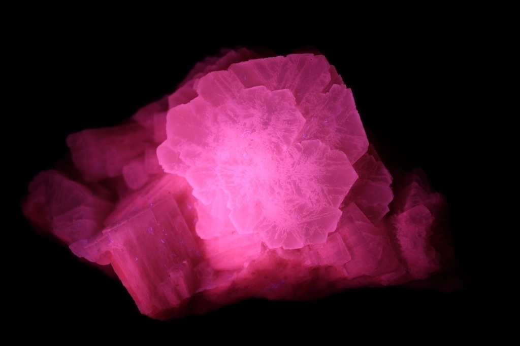 Aragonite