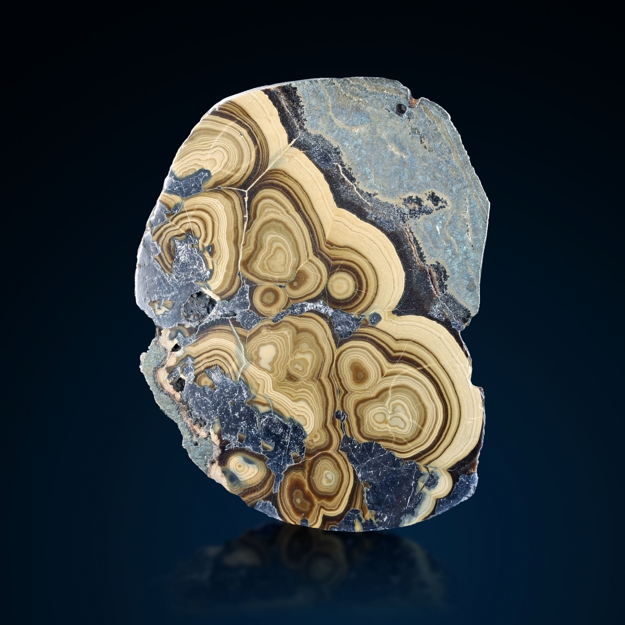 Schalenblende