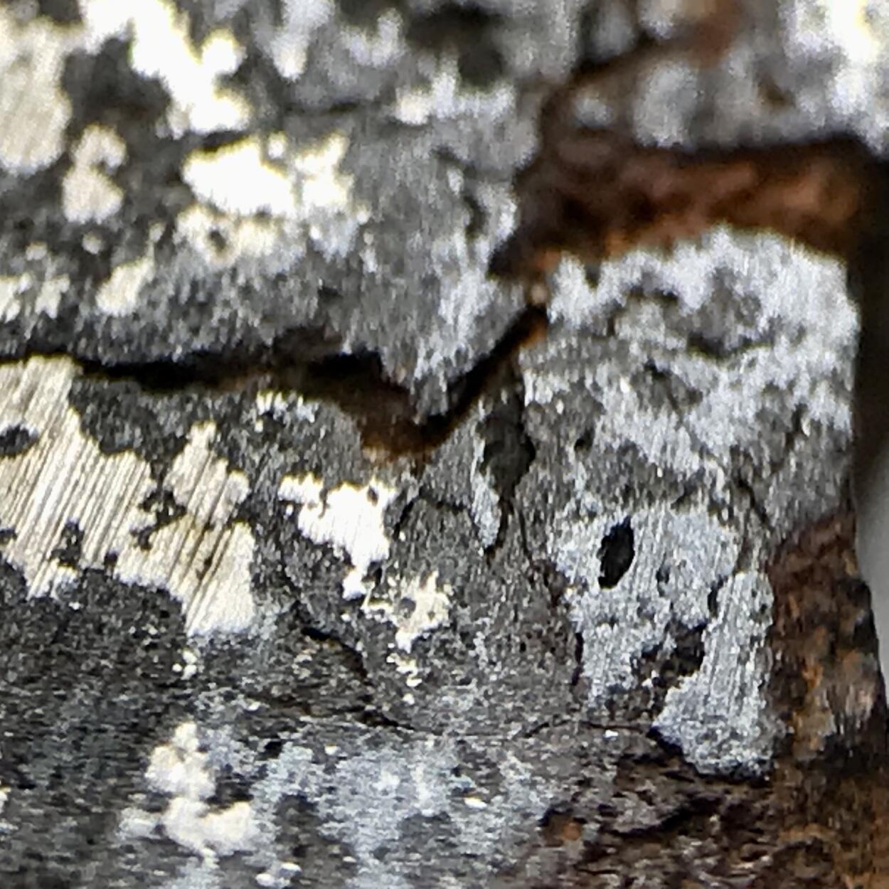 Meteorite
