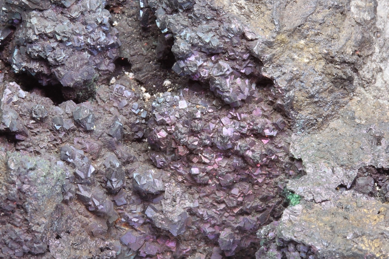 Bornite