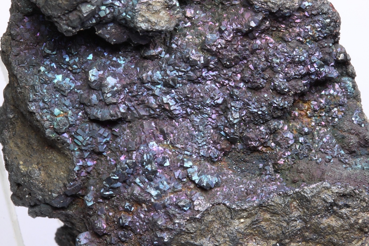 Bornite