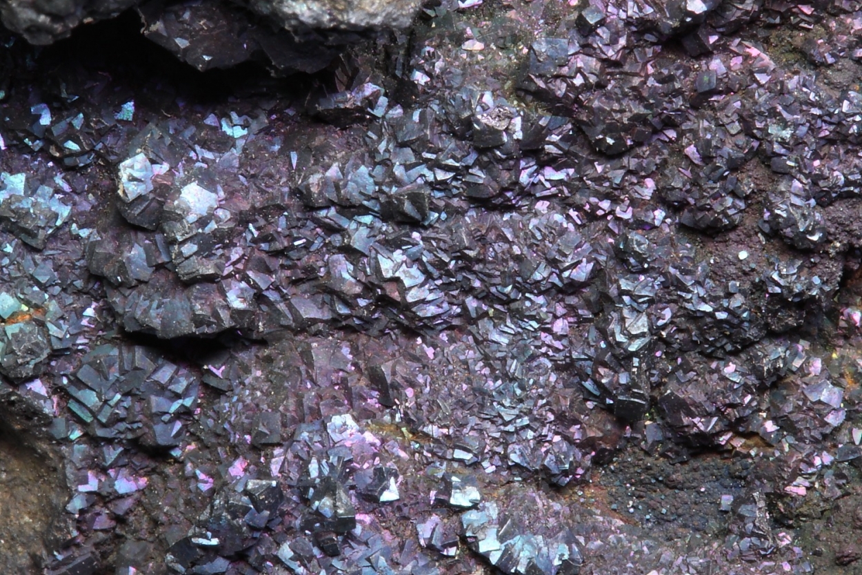 Bornite