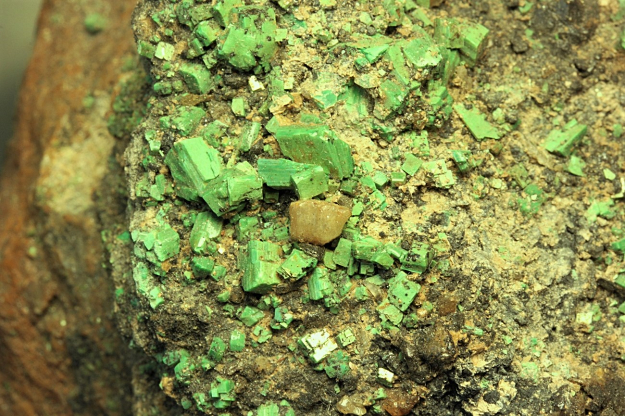 Metatorbernite On Smoky Quartz
