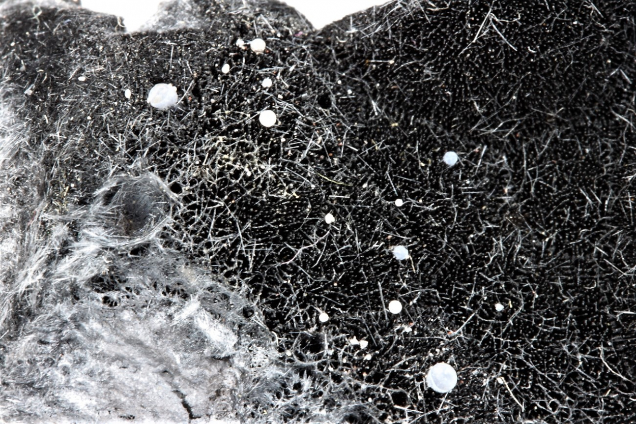 Romanèchite
