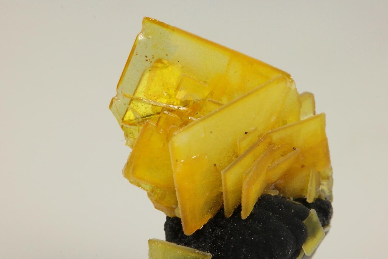 Wulfenite On Psilomelane