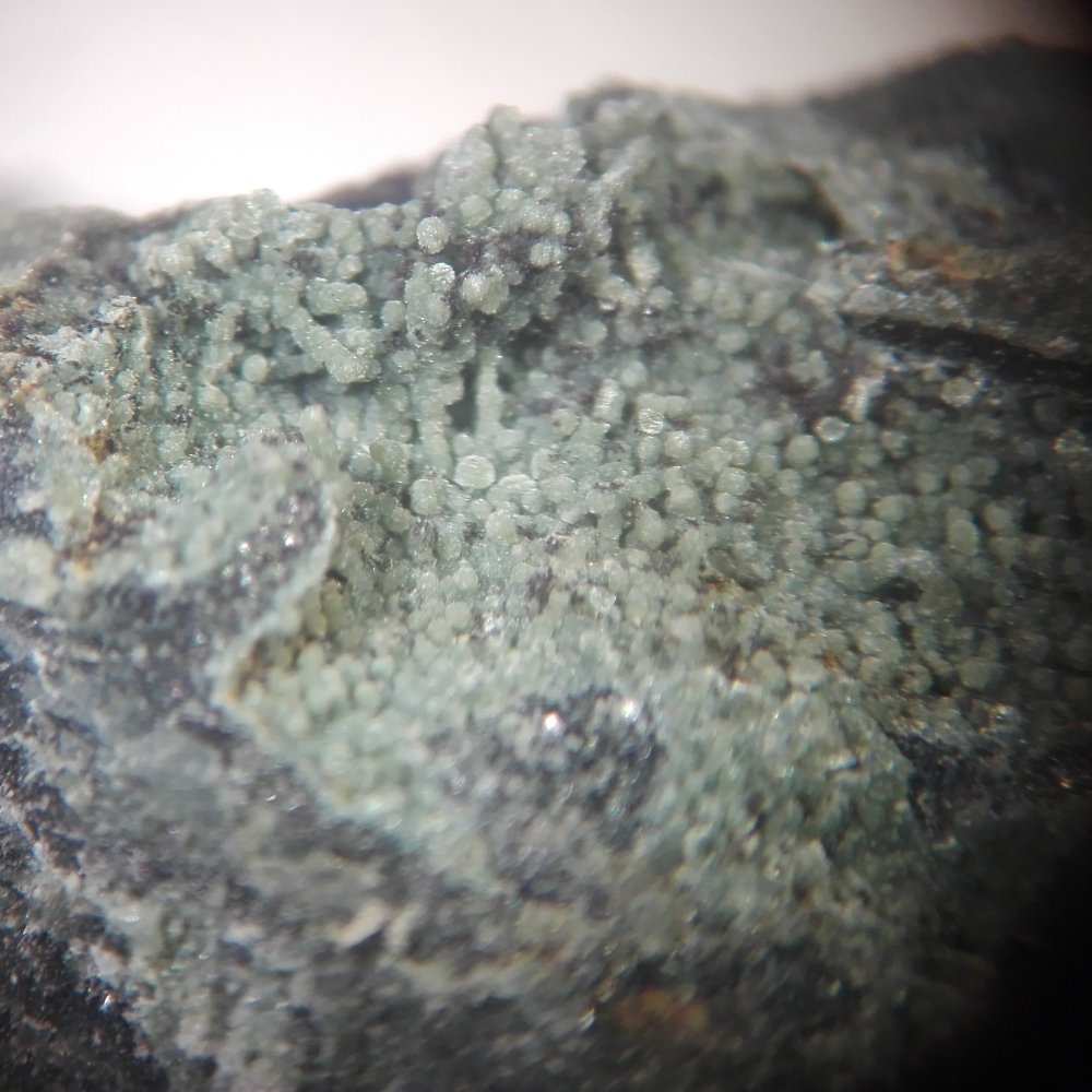 Lizardite