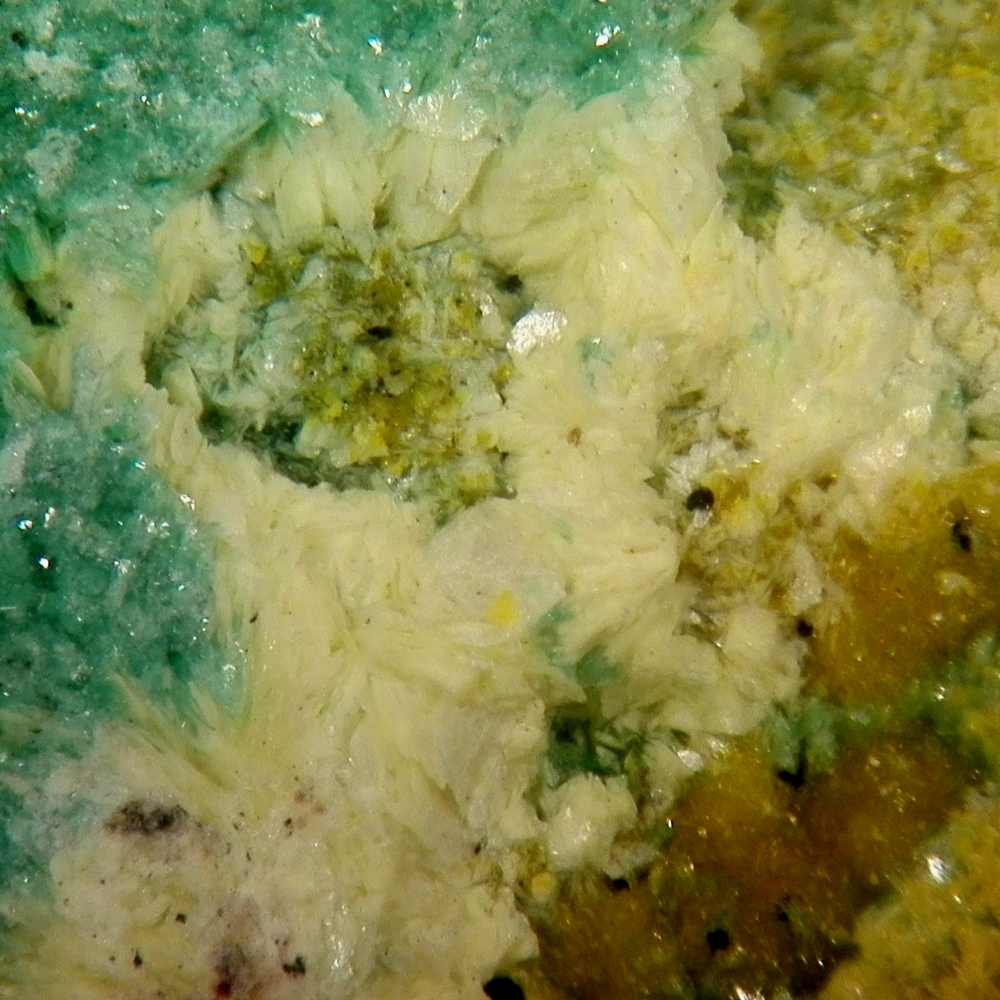 Rutherfordine & Torbernite