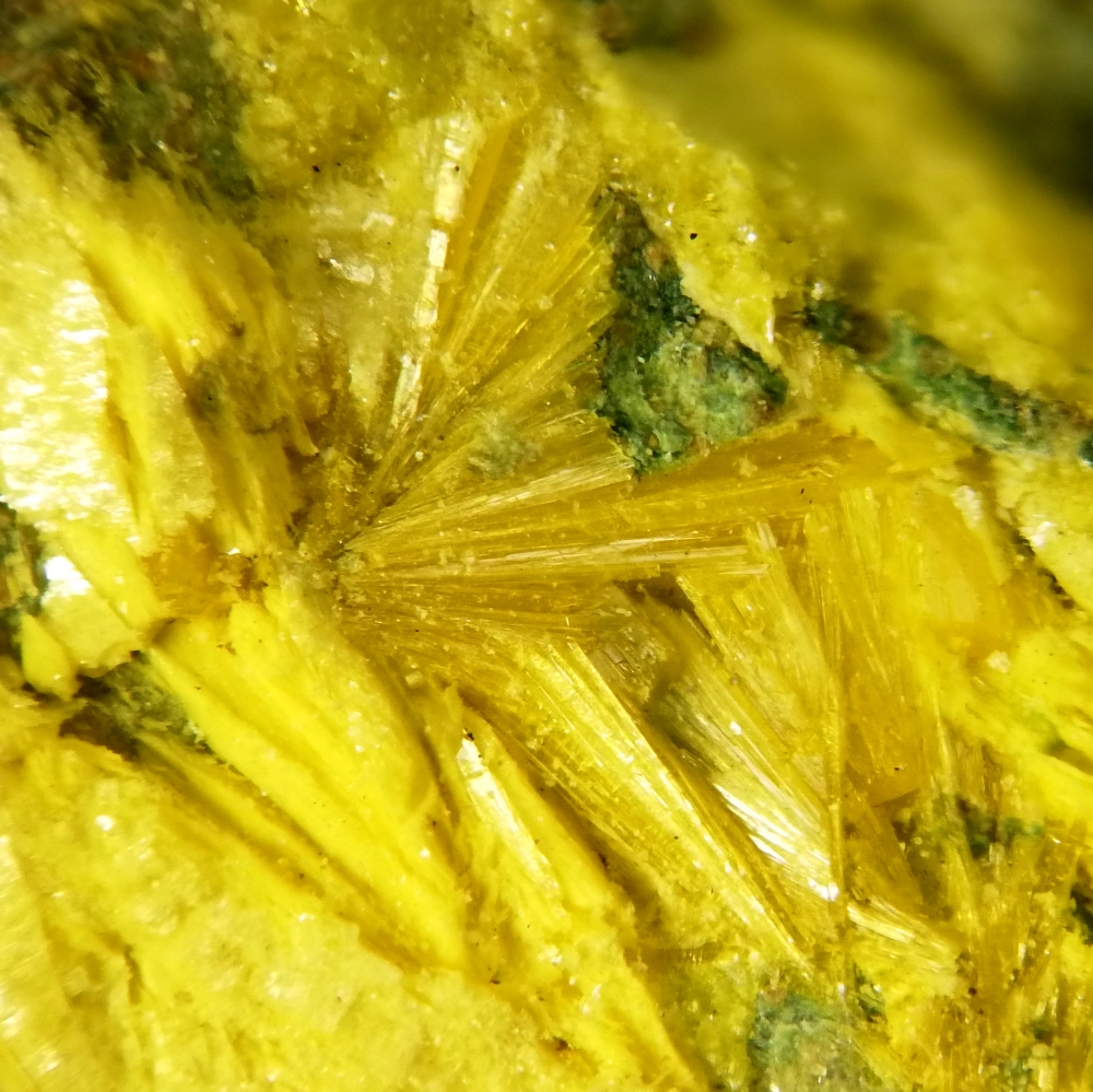 Kamotoite-(Y)