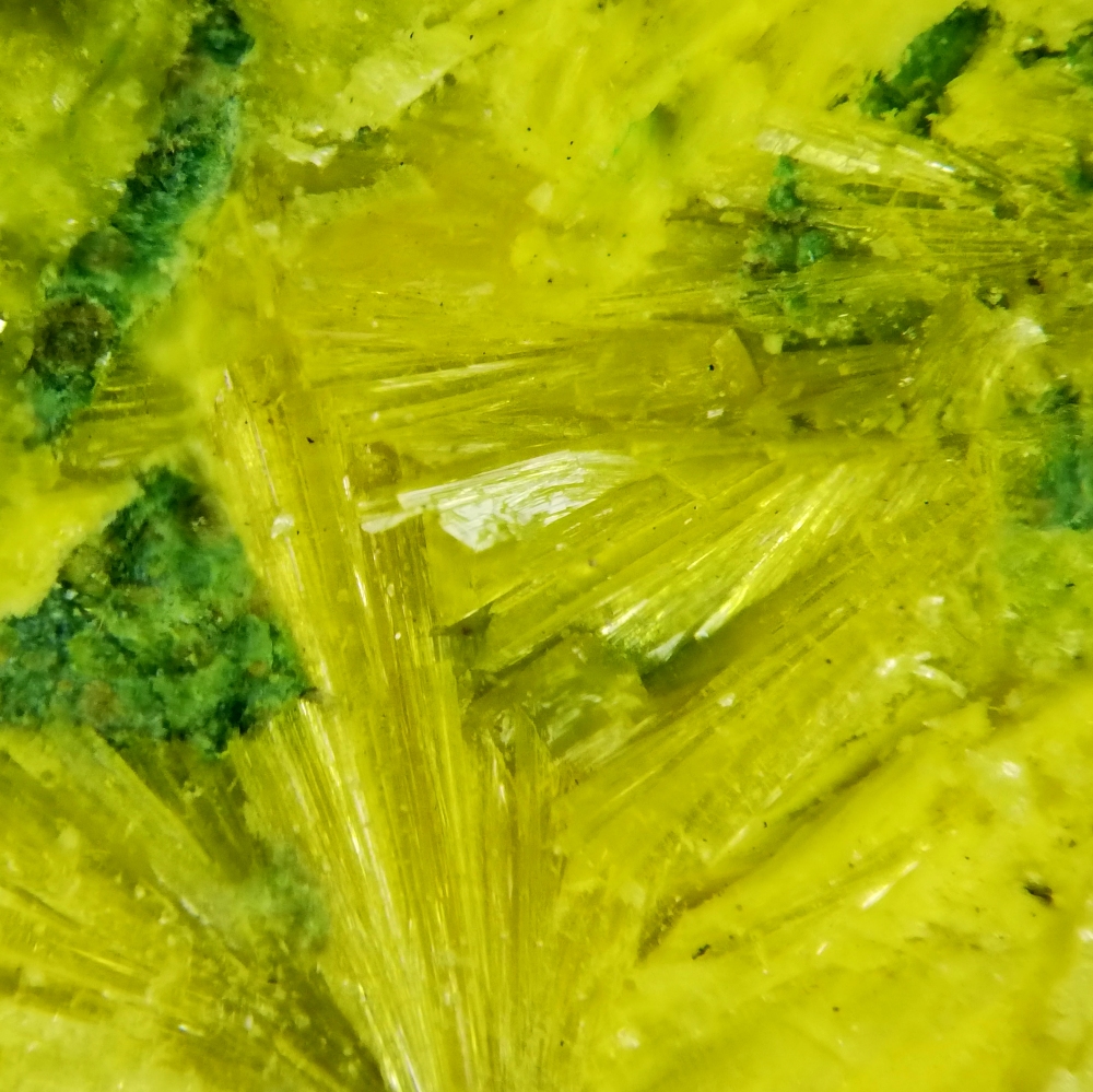 Kamotoite-(Y)