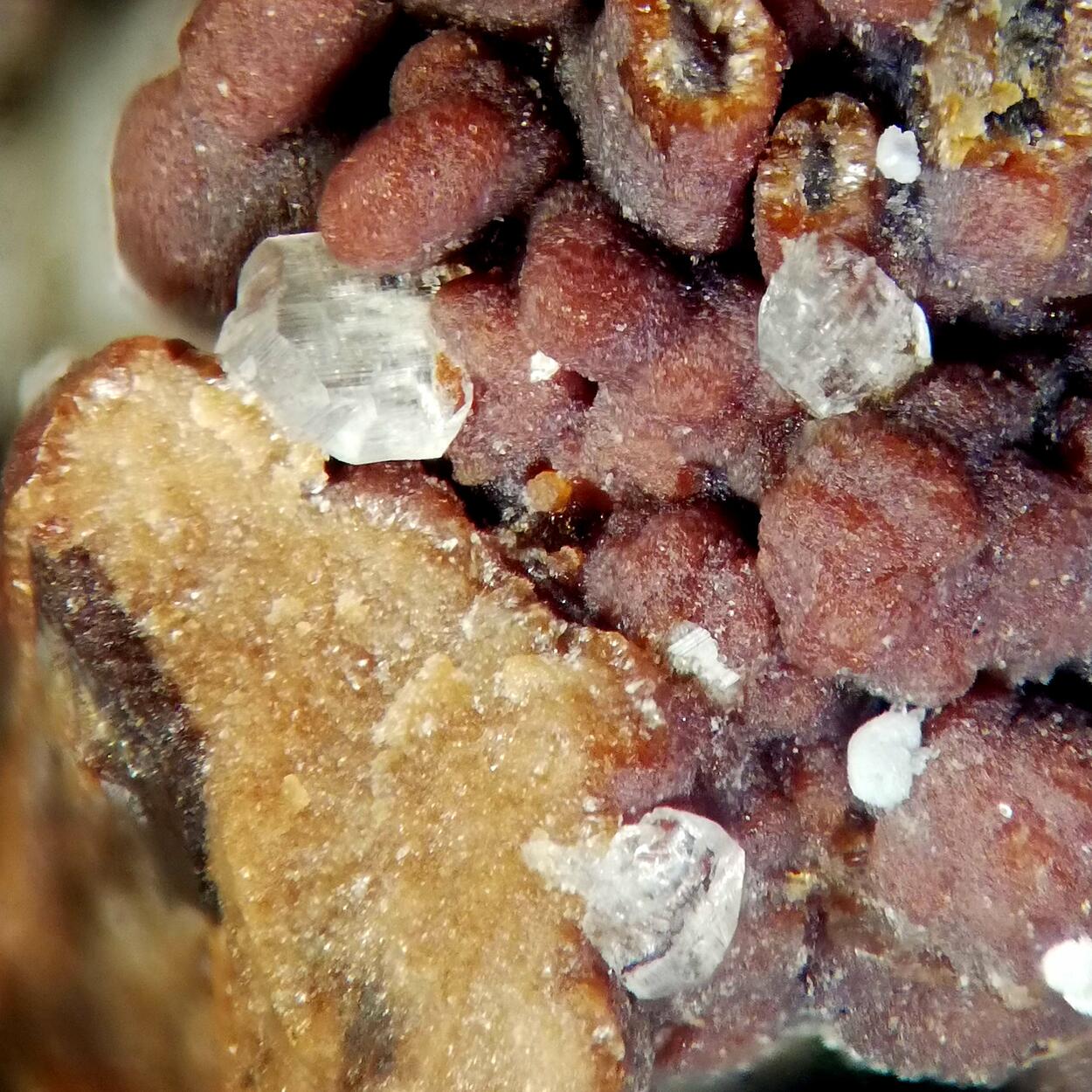 Brandtite On Caryopilite