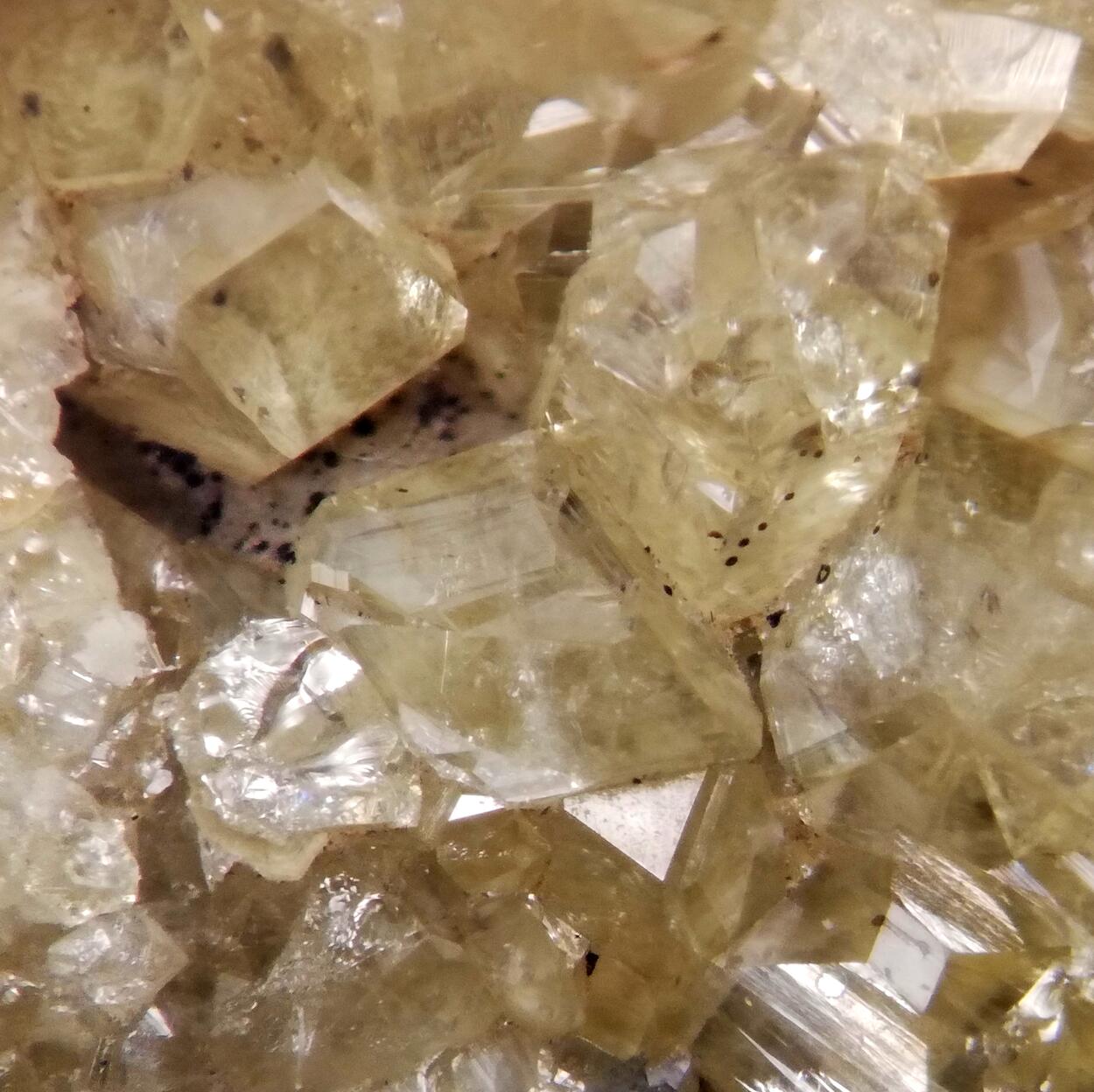 Andradite Var Topazolite