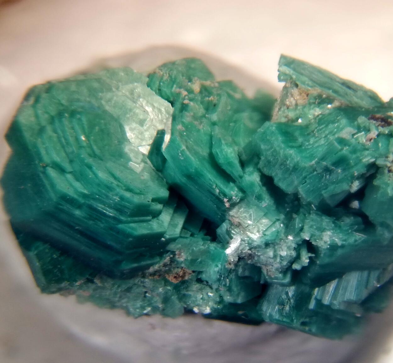 Metatorbernite