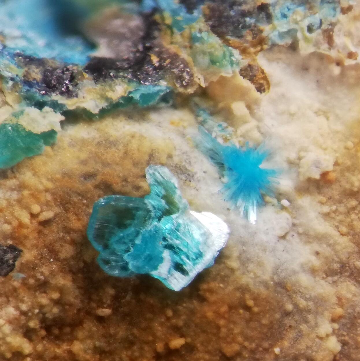 Ktenasite & Serpierite