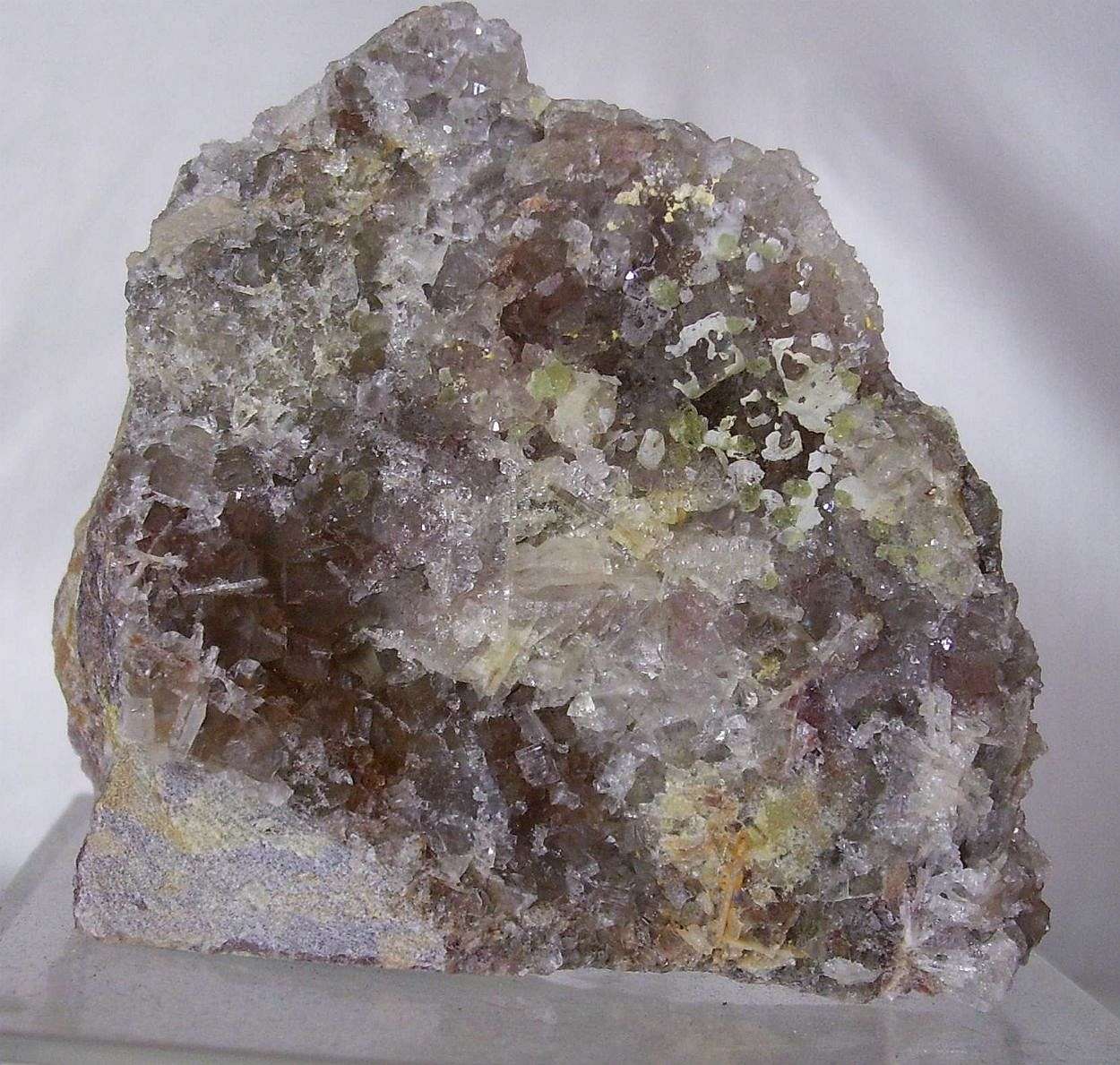 Prosopite