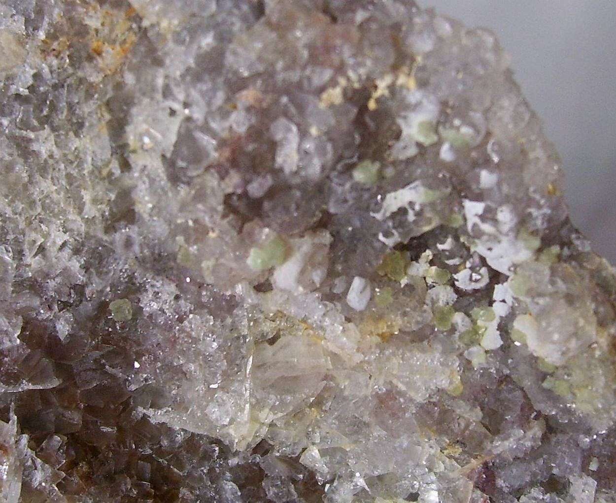 Prosopite