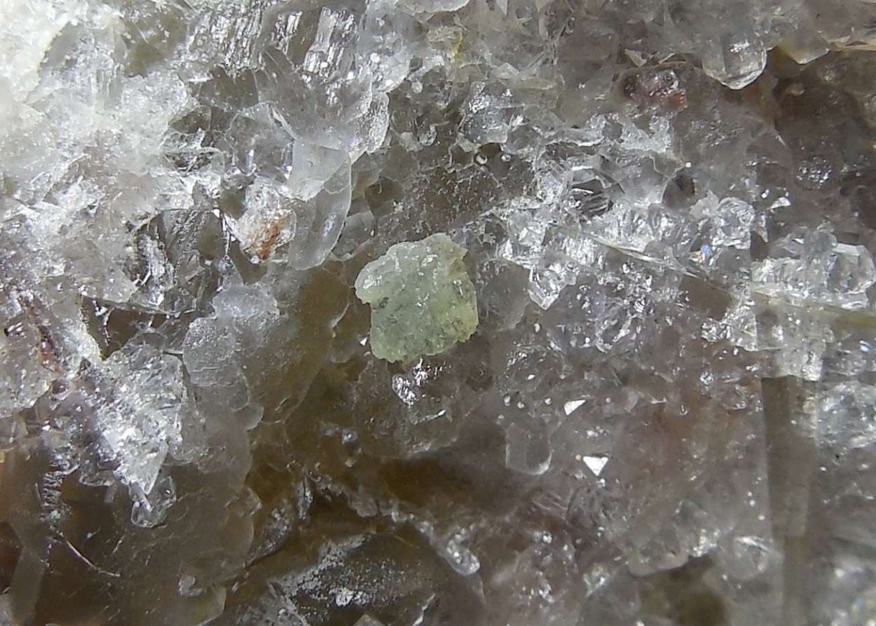 Prosopite